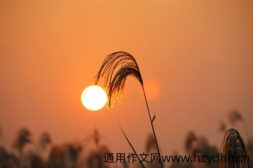 一天结束了的简短句子 一天结束了的简短说说