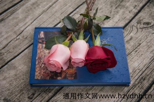 空间留言爱情句子短句 qq个性留言爱情句子