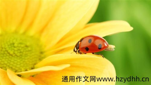新年告别过去重新开始说说