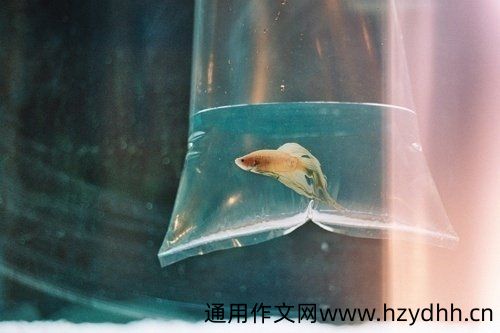 形容早晨的心情发朋友圈的说说