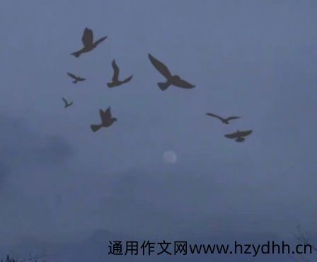 一个人看电影的心情说说 独自一人去电影院看电影的句子