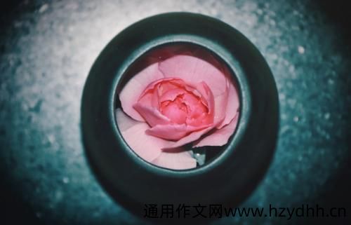 清明节思念亲人的短语说说