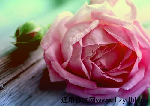 不经意间孩子长大了的说说