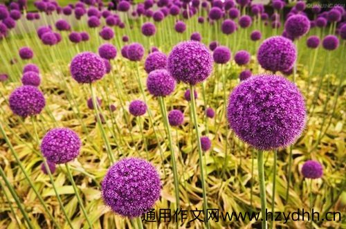 享受休闲放松自己的说说