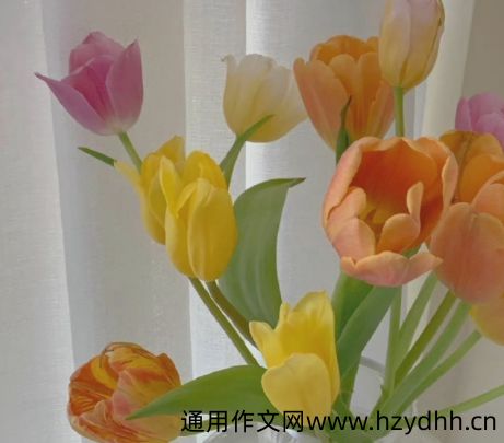 如果一切都能够重来的说说 如果时光能够倒流重来的句子