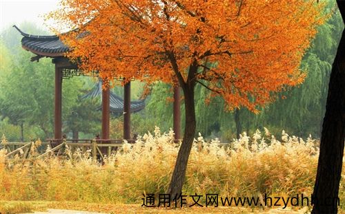 心情不好出去走走的说说