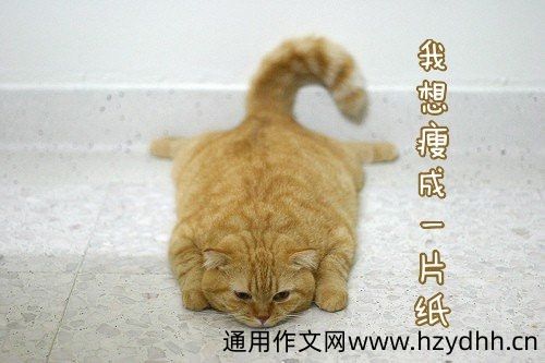 愚人节整人的朋友圈说说