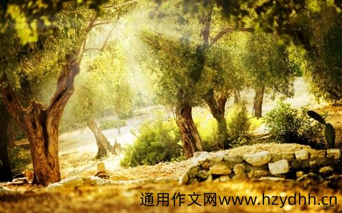 今天阳光好的心情说说