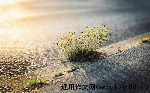 终于天晴了幽默说说 天气终于放晴了的美句