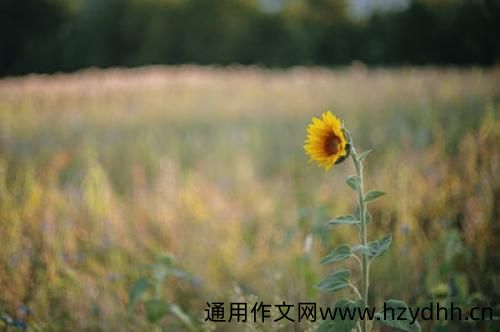 网易云音乐上看到过最触动的热评