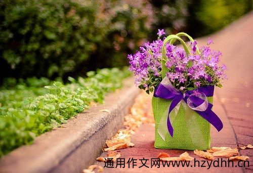 生活先苦后甜的说说