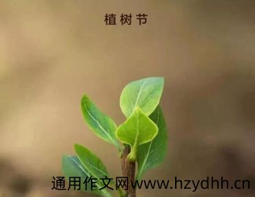 2022植树节正能量语录 植树节发朋友圈的正能量说说